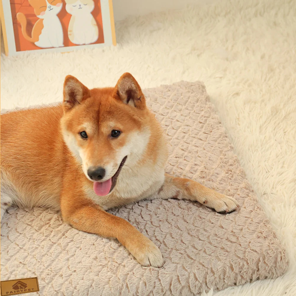 3D Foam Pet Bed With Removable Washable Faux Fur Cover